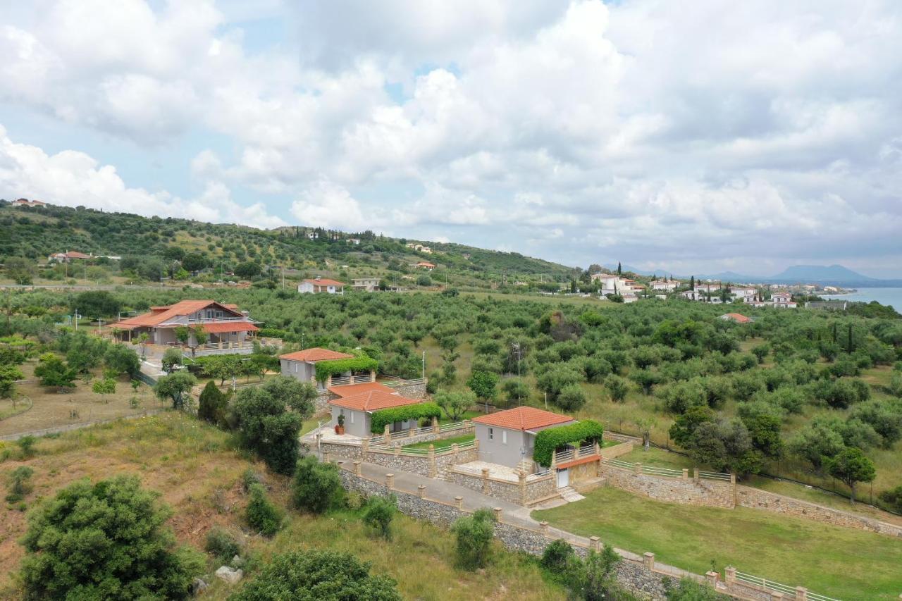 Alexandros Seaside Family Apartments & Villas - Paradise, 7' From Petalidi Kalamaki  Экстерьер фото