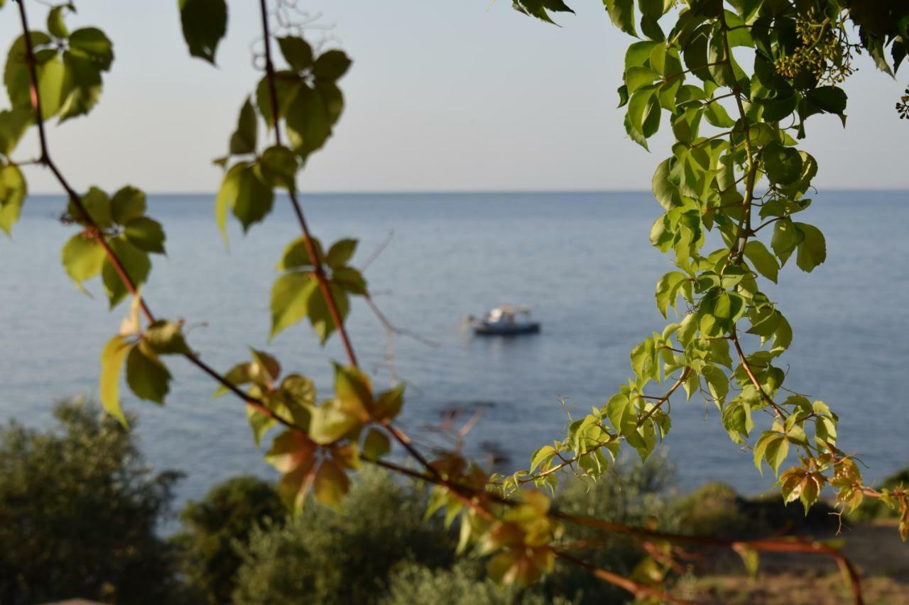 Alexandros Seaside Family Apartments & Villas - Paradise, 7' From Petalidi Kalamaki  Экстерьер фото